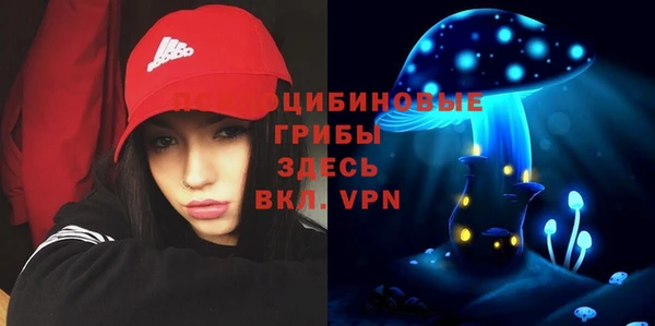 соль курить ск Кодинск